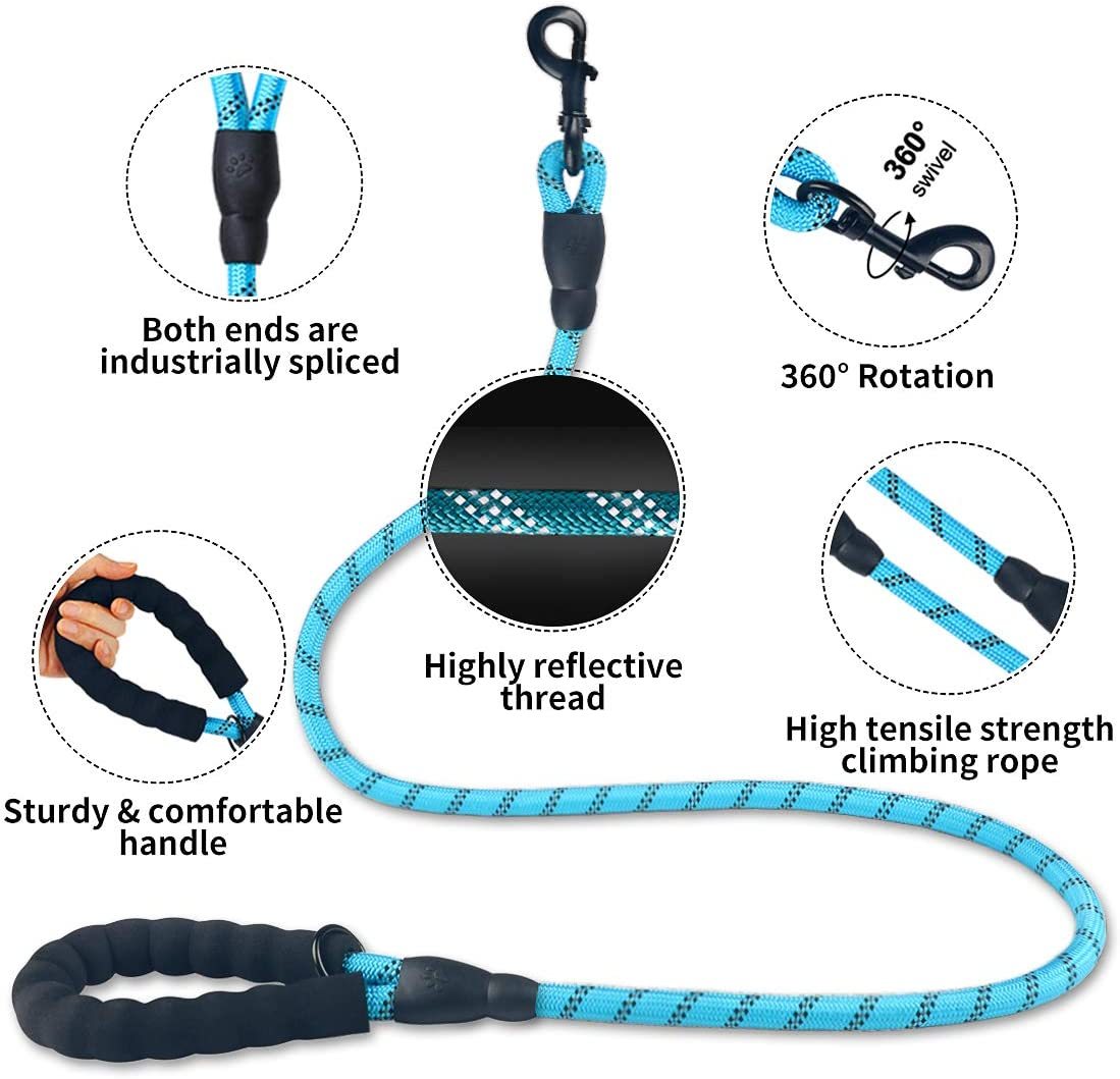 Safe Walk Leash