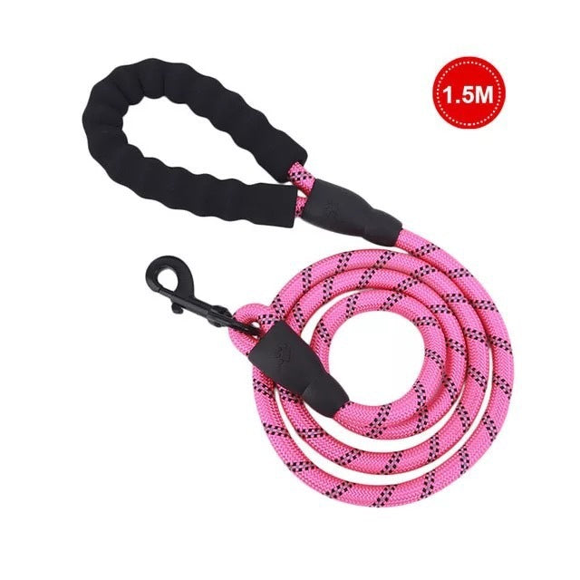Safe Walk Leash