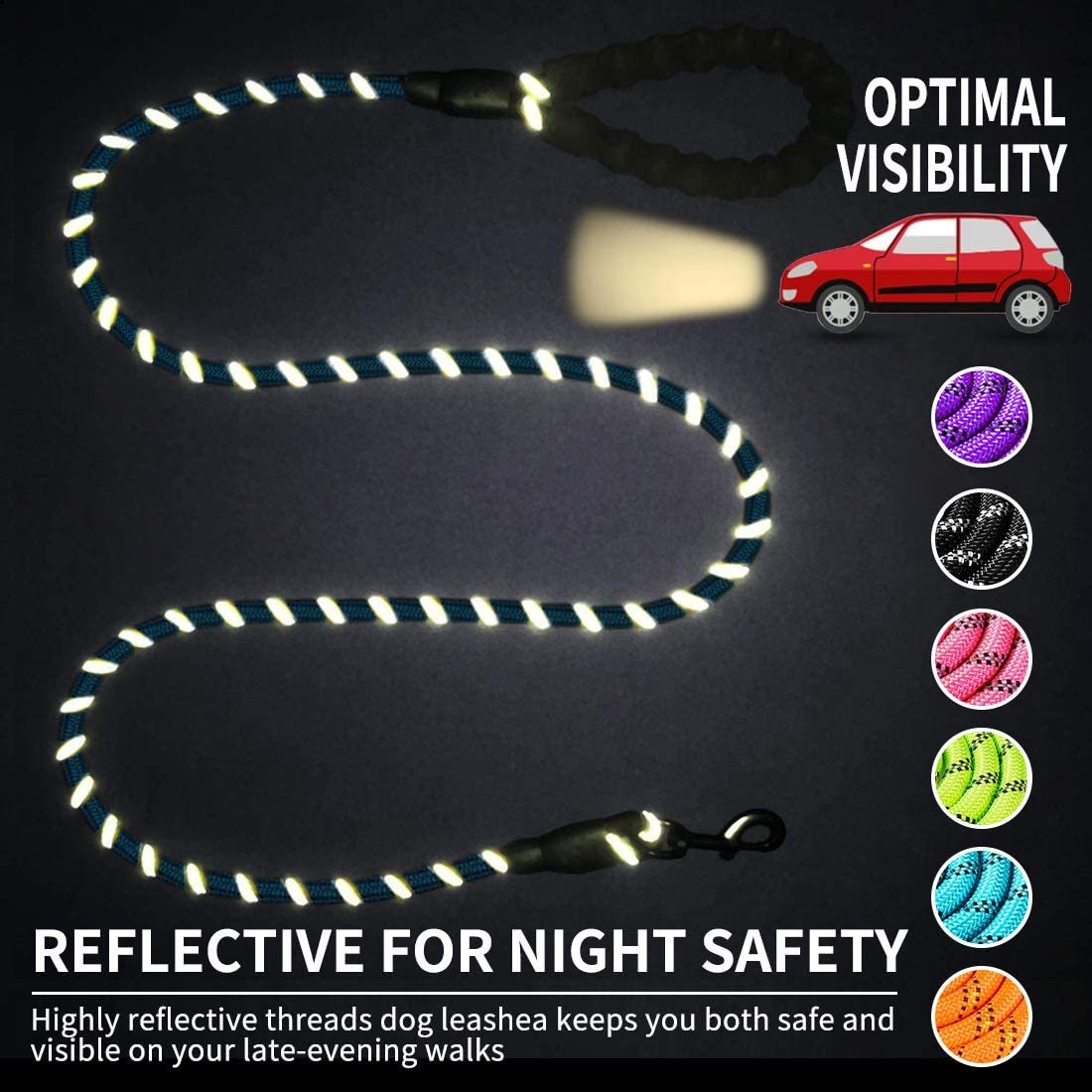 Safe Walk Leash