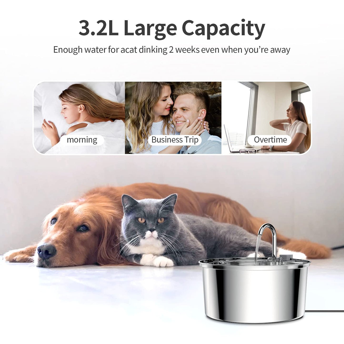 Automatic Stainless Steel Water Dispenser