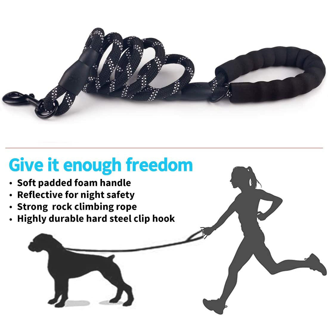 Safe Walk Leash