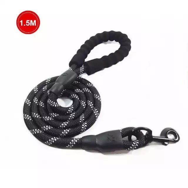 Safe Walk Leash