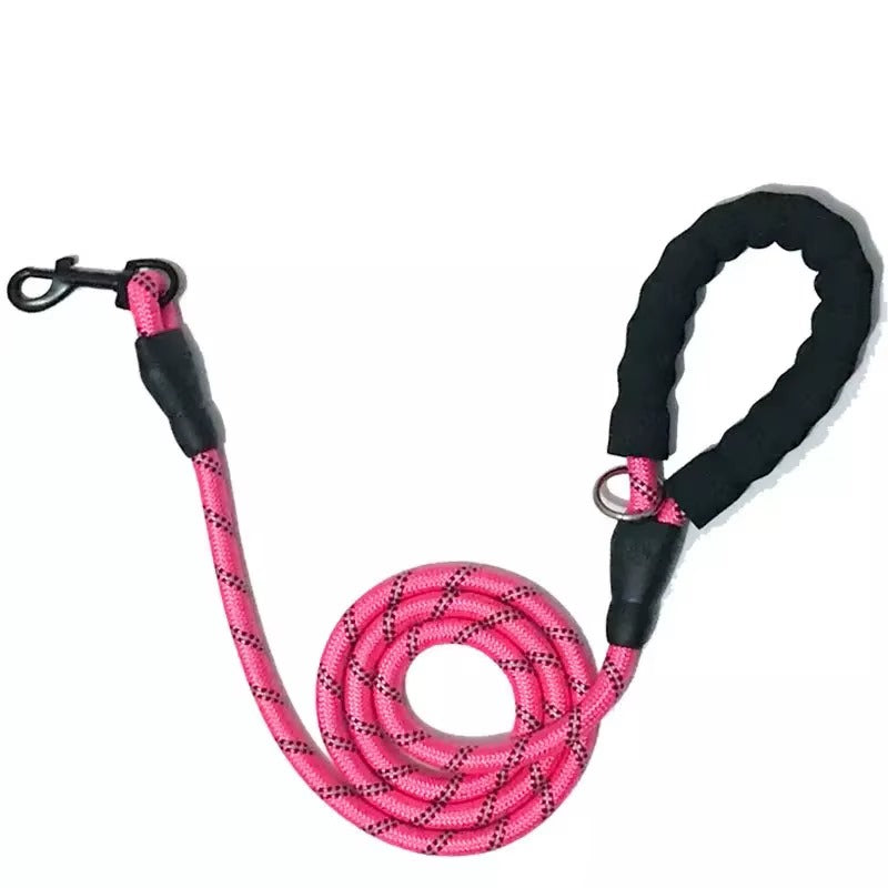 Dog leash