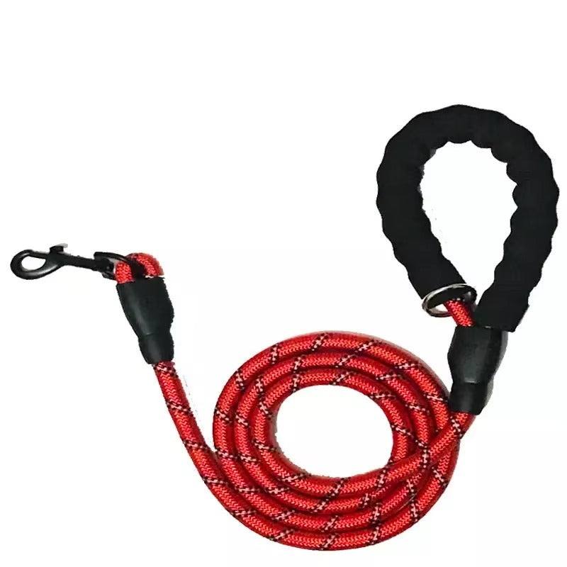 Dog leash