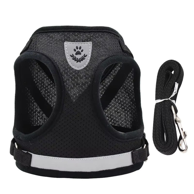 Breathable No-Pull Dog Harness with Matching Leash