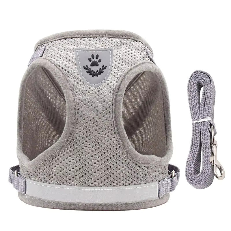 Breathable No-Pull Dog Harness with Matching Leash