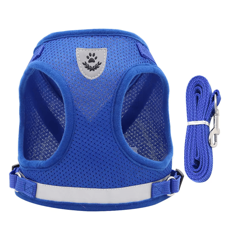 Breathable No-Pull Dog Harness with Matching Leash