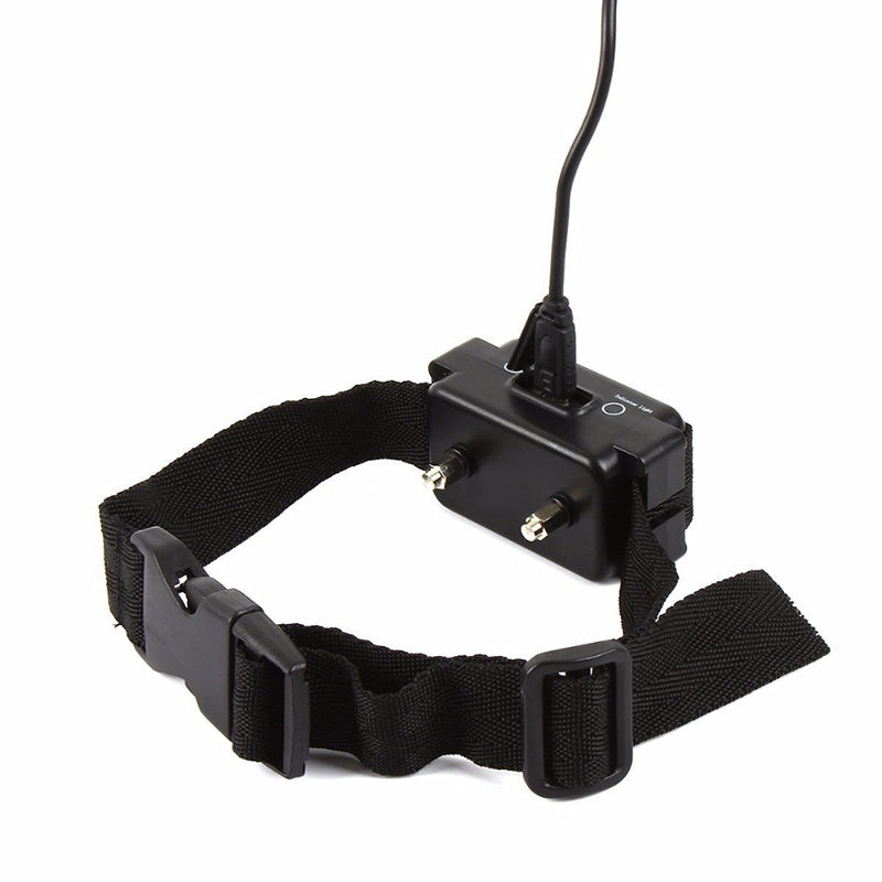 Electronic Dog Boundary
