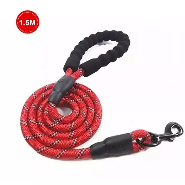Safe Walk Leash