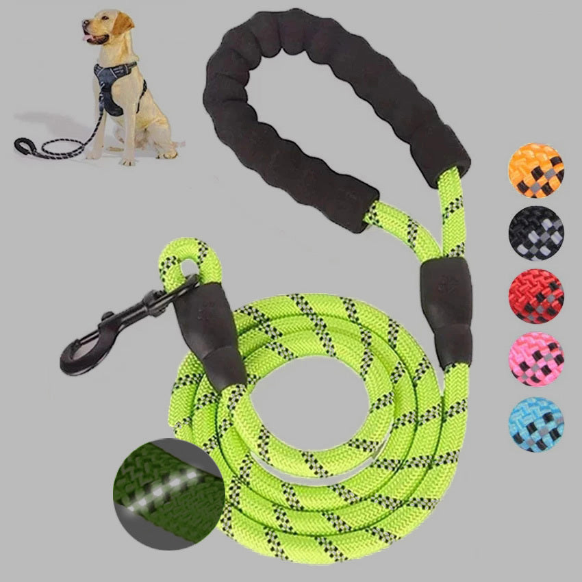 Safe Walk Leash