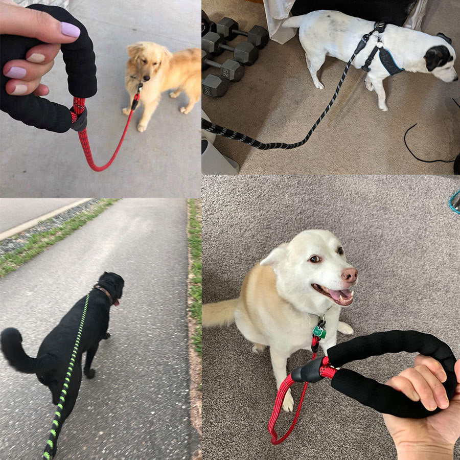 Safe Walk Leash
