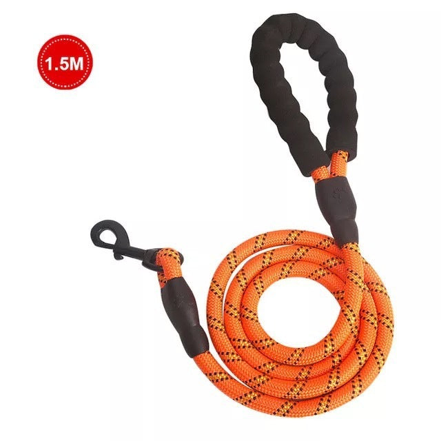 Safe Walk Leash