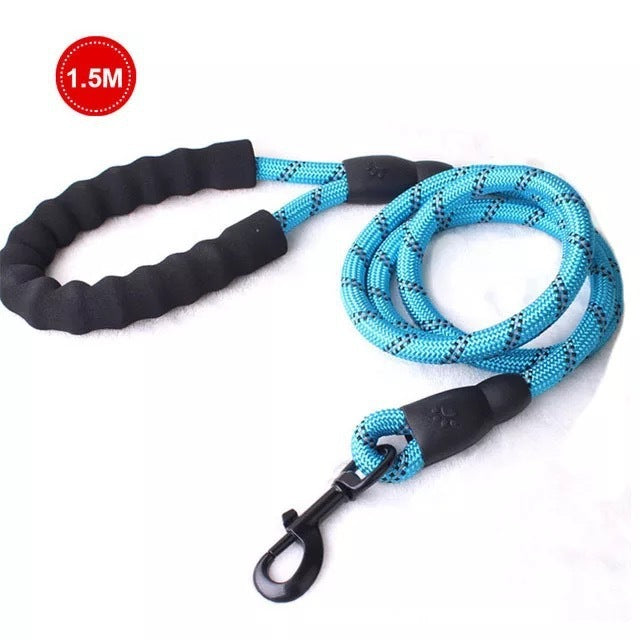 Safe Walk Leash