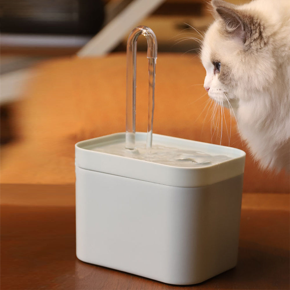 Pet Fountain