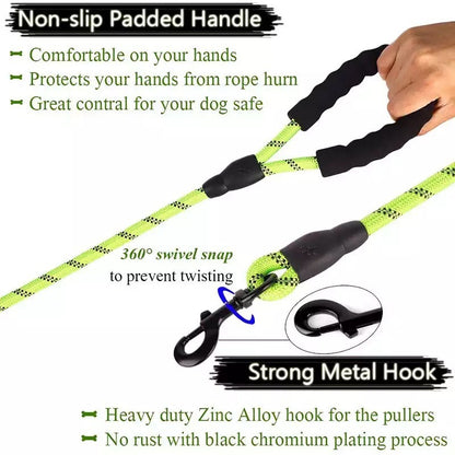 Safe Walk Leash