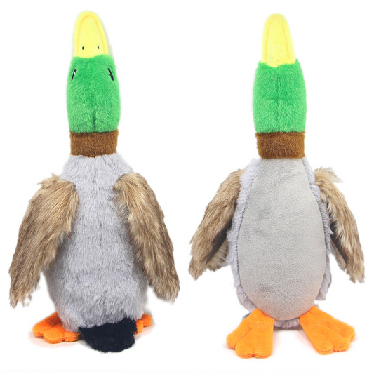 Dog Duck toys