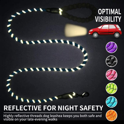 Safe Walk Leash