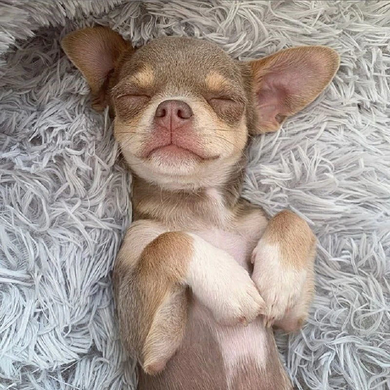 Long Plush Pet Bed
