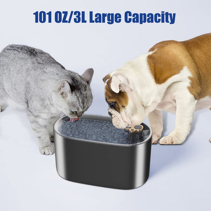 Filtered Dog & Cat Fountain
