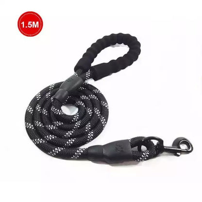 Safe Walk Leash
