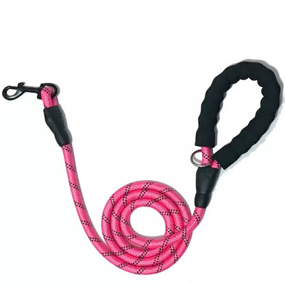Dog leash