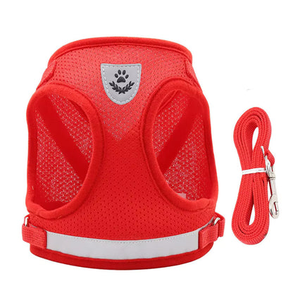 Breathable No-Pull Dog Harness with Matching Leash