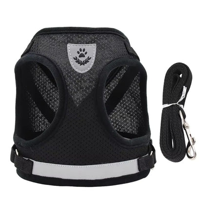 Breathable No-Pull Dog Harness with Matching Leash