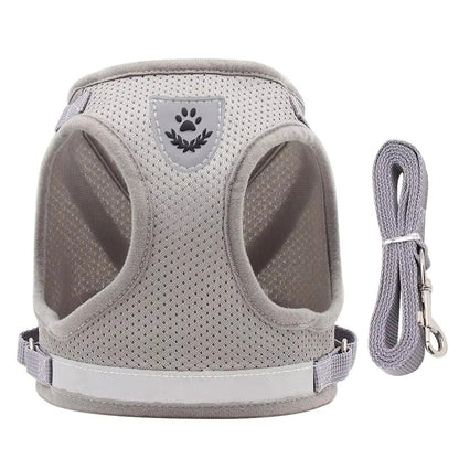 Breathable No-Pull Dog Harness with Matching Leash