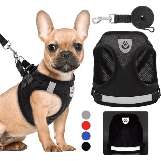 Breathable No-Pull Dog Harness with Matching Leash
