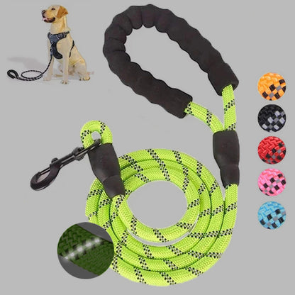 Safe Walk Leash