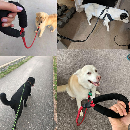 Safe Walk Leash