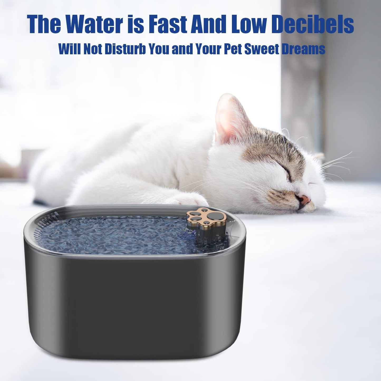 Filtered Dog & Cat Fountain