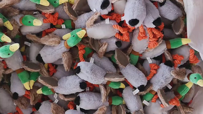 Dog Duck toys