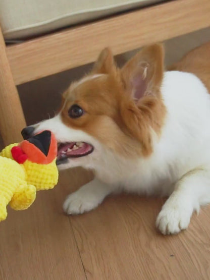 Squeaky Pineapple Dog Toys